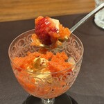 イル アオヤマ - 