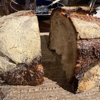 biodinamico - 