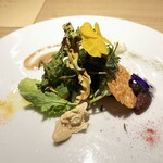 292582744 - INSALATA〜３月　畑・山の様子〜５０種類の食材を１０種類の調理法と８種類のソースで