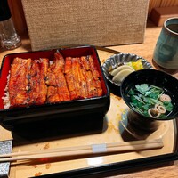 うなぎ 目白ぞろ芽 - 