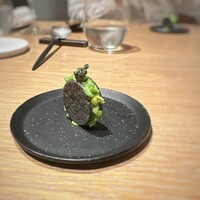 マンサルヴァ - 
