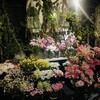 EBISU FLOWER PARK 名古屋BAR店