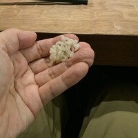 初音鮨 - 炊き立てのシャリ