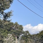 インデアンレストラン  ニューミラ - 