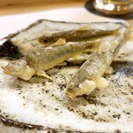 穴子料理と地酒 浅草 川井 - 