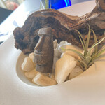 プレゼンテ スギ - 