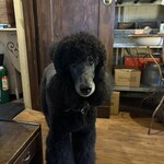 ジーカフェ - こんにちは