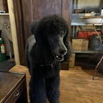 ジーカフェ - あ？