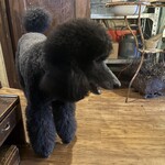 ジーカフェ - お客様？