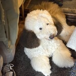 ジーカフェ - ありがとうごさいました！