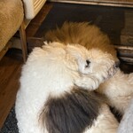 ジーカフェ - ん？