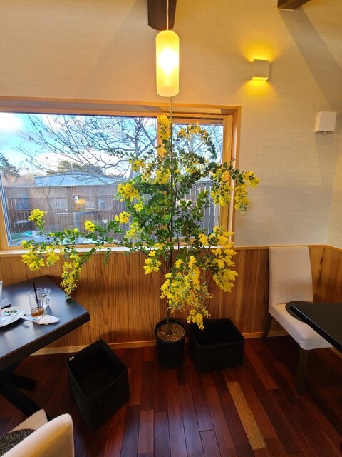 秋保の森工房 bons　souvenirs（ボンスヴニール） - 陸前白沢（フレンチ）の写真