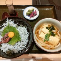 美々卯 本町店 - 