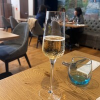 Loiseau de France - 