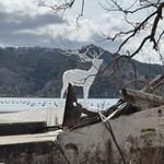 お魚いちば おかせい - 