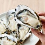 かきのおきて - 