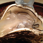 蓬莱 - 2014年7月。