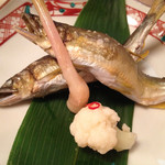 蓬莱 - 2014年7月。朝どりの天然アユ。