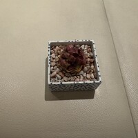 L'ETERRE - 
