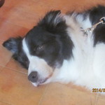 Mar - ぼー・・・！？