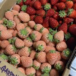 大和路へぐり くまがしステーション - 