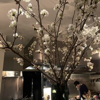 RESTAURANT SALT - 
