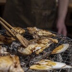 活魚居酒屋 マルフク - 