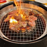 焼肉 親鳥専門店 ばかたれ - 