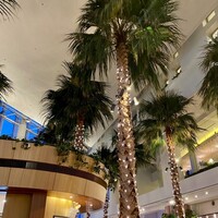 カフェトスカ - 