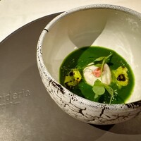 ニシデリア - 