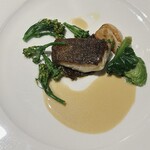 Kumazawa - 千葉石鯛