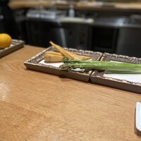 SCALAE - 
