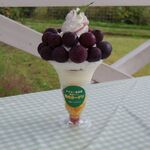 農家カフェ 森のガーデン - 