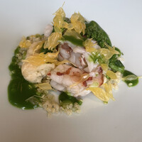TRATTORIA CREATTA - 