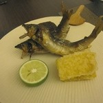 日本料理 晴山 - 郡上の鮎:これが食べたくて♪