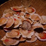 浜焼き漁師小屋 - ホタテ。