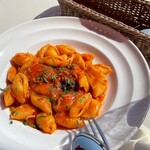 アマルフィイ デラセーラ - 