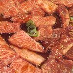 やきにく 燈火園 - 