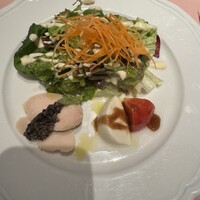 La Terrazza SABATINI - 