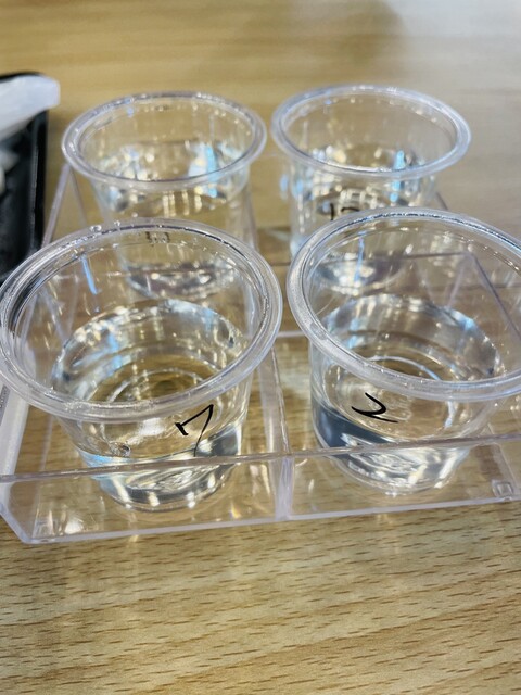 塩釜水産物仲卸市場 - 東塩釜（その他）の写真