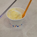 ブルーシール - 