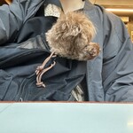 オブゴ ベーカー - 