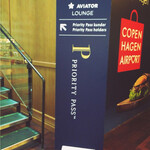 Carlsberg Aviator Lounge - 