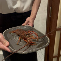 京風鉄板 はせ川 - 