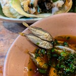 古酒蔵 山桜 - 生スク