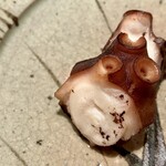 鮨 さかい - ＵＰ