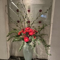 ツキ シュール ラメール - 