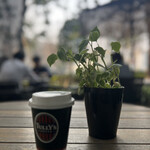 タリーズコーヒー - 