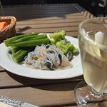 クッチーナ デル カンポ - サラダバー＆ワイン（食べ飲み放題）