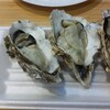 BAY OYSTER